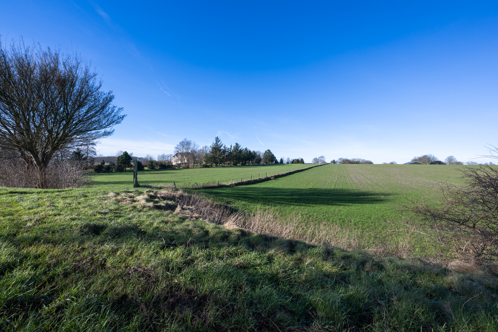 Stuwwallen landschap